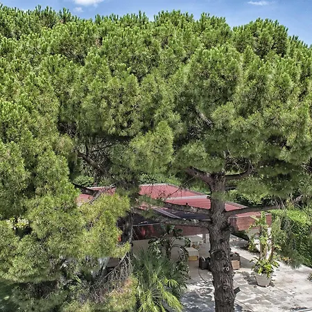 Otel Garden 3*
